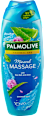 Wellness gel za tuširanje Massage PALMOLIVE