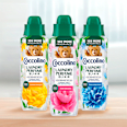 Prací parfum Summer Bouquet  Coccolino