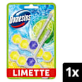 WC-Stein Limette  Domestos