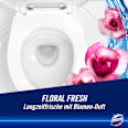 WC-Reiniger Gel Kraft & Frische Floral Fresh  Domestos