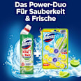 WC-Stein Limette  Domestos