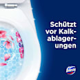 WC-Stein Pink Magnolie Domestos
