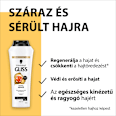 Shampoo Total Repair Schwarzkopf GLISS