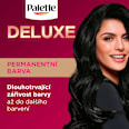 barva na vlasy Sytý přirozeně černý 1-0 Palette DELUXE