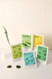 Tuchmaske Airy Fit mit Aloe Vera MISSHA