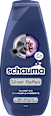 šampon na vlasy Silver Reflex schauma