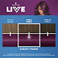 LIVE barva na vlasy Amethyst Chrom U69 Schwarzkopf LIVE