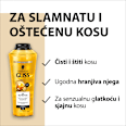 Oil Nutritive šampon za obnovu slamnate kose Schwarzkopf GLISS