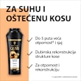Ultimate Repair šampon za obnovu kose Schwarzkopf GLISS