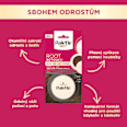 Palette Root Retouch víceúčelový kompaktní pudr světle hnědý Palette