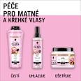 maska na vlasy 4 v 1 Shine  Schwarzkopf GLISS