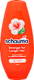 Balzsam hibiszkusszal és rozmaringgal, hosszú hajra schauma