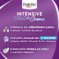 Boja za kosu – 9,5 - 21 blistava srebrno plava Palette INTENSIVE COLOR CREME