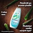 šampon proti lupům Anti-Dandruff Sensitive schauma