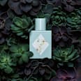 Wonderleaf Eau de Parfum Juniper Lane