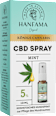 Mundspray CBD Kosmetisch 5 % Mint Hanfama