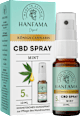 Mundspray CBD Kosmetisch 5 % Mint Hanfama