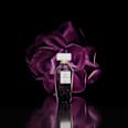 Eau de Parfum Mon Amour Donna CÂLINE