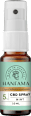 CBD Mundspray 5% Mint Hanfama