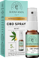 CBD Mundspray 5% Mint Hanfama