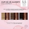 Vopsea de păr permanentă cu amoniac 5.5 L'ORÉAL PARiS EXCELLENCE Creme