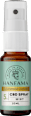 Mundspray CBD Kosmetisch 5 % Mint Hanfama