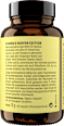 Vitamin B Nerven Edition Kapseln 60 St get your well being BY BIOGENA