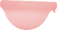 Menstruationsscheibe Rosa Gr. S SELENACARE