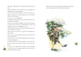 Giesbert in der Regentonne Ars Edition