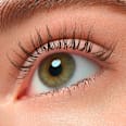 Lash Princess False Lash Effect maskara - Black Brown essence