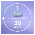Starterset, Rasierer Deluxe Smooth Swirl Gillette Venus