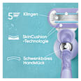 Starterset, Rasierer Deluxe Smooth Swirl Gillette Venus