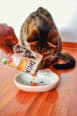 Nassfutter Katze Megapack (40x85 g) Shelma