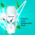 Antitranspirant Deo Roll-on Shower Fresh Rexona