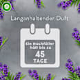 Lufterfrischer Aroma-Öl Diffuser Lavendel Starterset AirWick