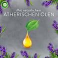 Lufterfrischer Aroma-Öl Diffuser Lavendel Starterset AirWick