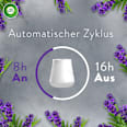 Lufterfrischer Aroma-Öl Diffuser Lavendel Starterset AirWick
