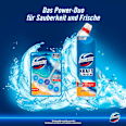 WC-Reiniger Gel Aktiv Kraft Ocean Fresh Domestos