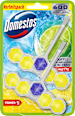 WC-Stein Limette  Domestos