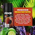 Bodyspray Moschus Patchouli & Fougere Scent AXE