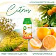 Duftspray Freshmatic Max Nachfüller Citrus Duo-Pack AIR WICK