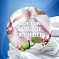 Lufterfrischer Duftstecker Cotton & Weiße Orchidee Nachfüllpack (2x19 ml) AirWick