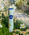 Deodorant Spray miracle Garden Jasmin & Bergamotte NIVEA