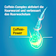 Shampoo Hybrid Coffein Alpecin