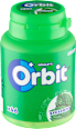 žvýkačky Spearmint dóza standartní Orbit