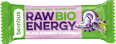 Raw Energy Black Currant & Coconut bombus