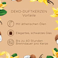 Duftkerze im Glas Französische Vanille & Kokosnuss 220 g AirWick