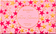 Paleta senki za oči- 02 Rose Glamour BOURJOIS PARIS