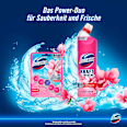 WC-Reiniger Gel Kraft & Frische Floral Fresh  Domestos