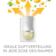 Duftöl Nachfüller Citrus AirWick